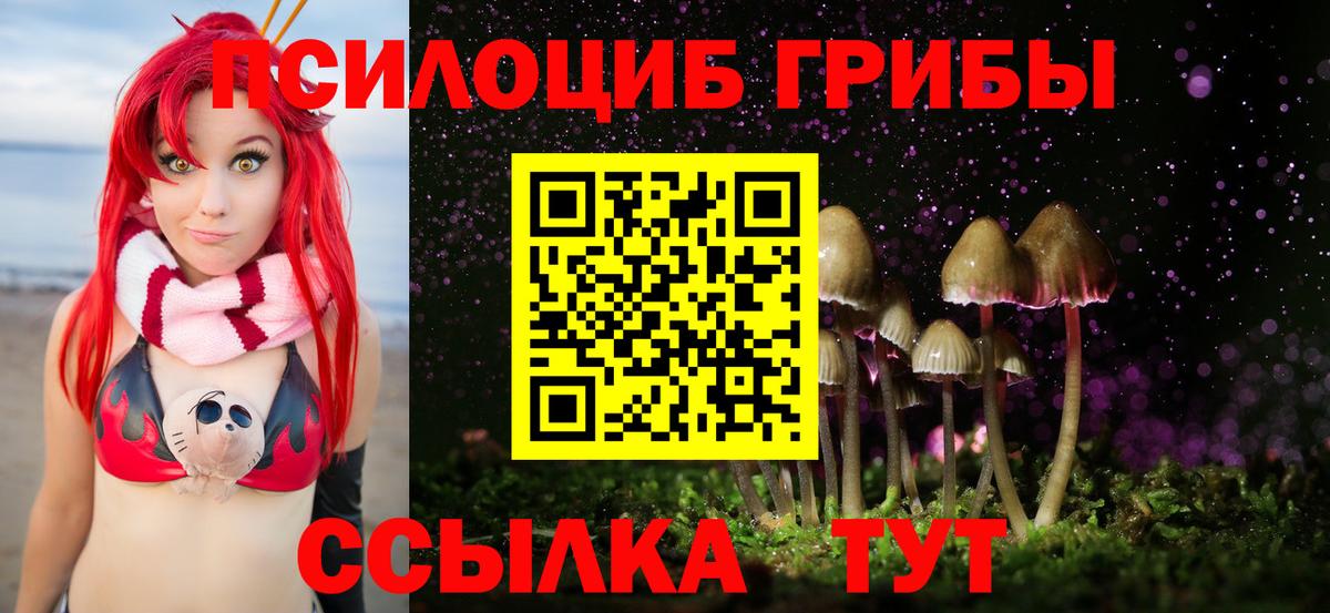 Псилоцибиновые грибы Psilocybine cubensis  Вход с VPN  Узловая 